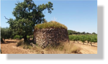Pedra seca a Banyeres del Penedès, Tarragona